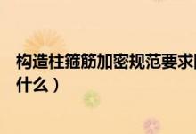构造柱箍筋加密规范要求图片（构造柱箍筋加密规范要求是什么）