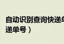 自动识别查询快递单号原理（自动识别查询快递单号）