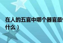 在人的五官中哪个器官最怕冷（人的五官中最怕冷的器官是什么）