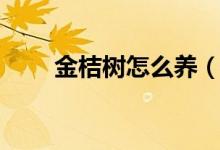 金桔树怎么养（金桔树养殖有方法）