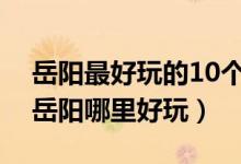 岳阳最好玩的10个景点（岳阳最好玩的地方岳阳哪里好玩）