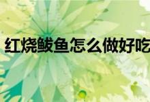 红烧鲅鱼怎么做好吃（制作红烧鲅鱼的方法）