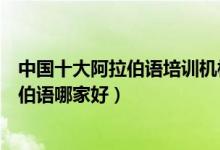 中国十大阿拉伯语培训机构（阿拉伯语培训机构排名学阿拉伯语哪家好）