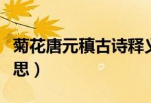 菊花唐元稹古诗释义（元稹《菊花》是什么意思）