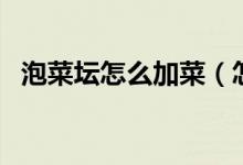 泡菜坛怎么加菜（怎样往泡菜坛里面加菜）