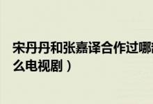 宋丹丹和张嘉译合作过哪部电视剧（宋丹丹和张嘉译演过什么电视剧）