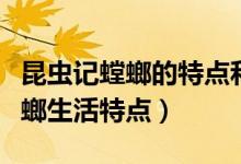 昆虫记螳螂的特点和生活特征（昆虫记中的螳螂生活特点）