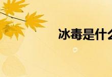 冰毒是什么（冰毒介绍）