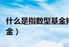 什么是指数型基金排名前十（什么是指数型基金）