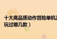 十大高品质动作冒险单机游戏（PC端经典动作游戏排行你都玩过哪几款）