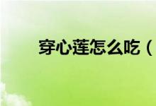穿心莲怎么吃（食用穿心莲的方法）
