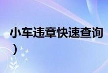 小车违章快速查询（小车违章怎么样快速查询）