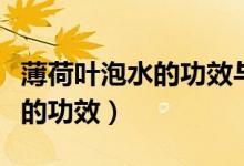 薄荷叶泡水的功效与作用是什么（薄荷叶泡水的功效）