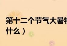 第十二个节气大暑物候特征（第十二个节气是什么）