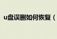 u盘误删如何恢复（U盘误删如何恢复数据）