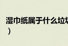 湿巾纸属于什么垃圾（湿巾纸属于哪一类垃圾）