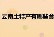 云南土特产有哪些食品（云南土特产的介绍）