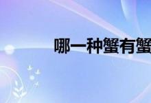 哪一种蟹有蟹膏（蟹膏是什么）
