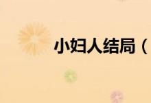 小妇人结局（小妇人结局剧情）