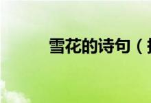 雪花的诗句（描写雪的5句诗句）