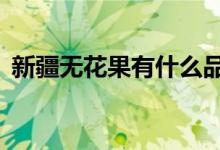 新疆无花果有什么品种（4大品种了解一下）