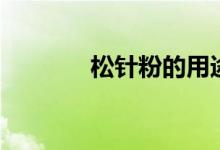 松针粉的用途（功能好多样）