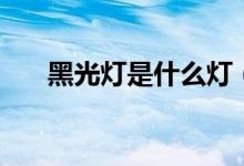 黑光灯是什么灯（黑光灯价格是多少）