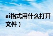 ai格式用什么打开（什么软件能打开ai格式的文件）