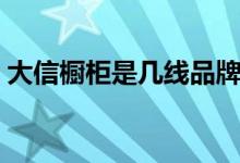 大信橱柜是几线品牌（大信橱柜多少钱一米）