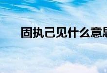 固执己见什么意思（固执己见的含义）