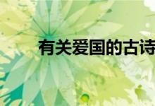 有关爱国的古诗（爱国古诗有哪些）