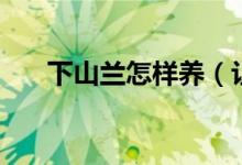 下山兰怎样养（让下山兰能年年开花）