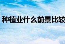种植业什么前景比较好（种植业什么最赚钱）