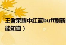 王者荣耀中红蓝buff刷新间隔时间是多少（具体怎样操作才能知道）