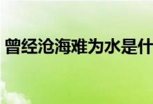 曾经沧海难为水是什么意思（一起来学习吧）