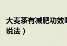 大麦茶有减肥功效吗（关于大麦茶减肥功效的说法）