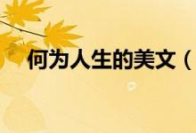 何为人生的美文（何为人生的美文内容）