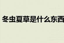 冬虫夏草是什么东西（冬虫夏草有什么作用）