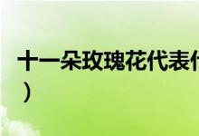 十一朵玫瑰花代表什么（十一朵玫瑰花的意思）