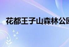 花都王子山森林公园介绍（讲解森林公园）