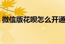 微信版花呗怎么开通（微信版花呗如何开通）