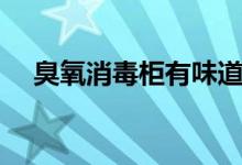 臭氧消毒柜有味道吗（要怎么正确使用）