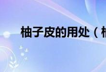 柚子皮的用处（柚子皮的功效与作用）