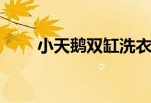 小天鹅双缸洗衣机好吗（报价多少）