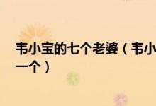 韦小宝的七个老婆（韦小宝7个老婆地位排名韦小宝最爱哪一个）