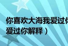你喜欢大海我爱过你什么意思（你喜欢大海我爱过你解释）