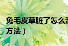 兔毛皮草脏了怎么清洗（兔毛皮草脏了清洗的方法）