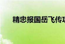 精忠报国岳飞传攻略（怎么过岳飞传）