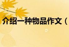 介绍一种物品作文（介绍一种物品作文范文）