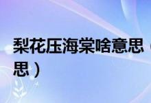 梨花压海棠啥意思（一枝梨花压海棠是什么意思）